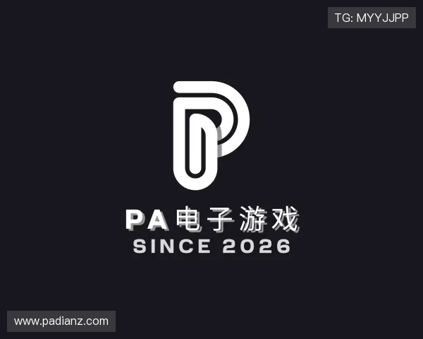 关于pa电子游戏